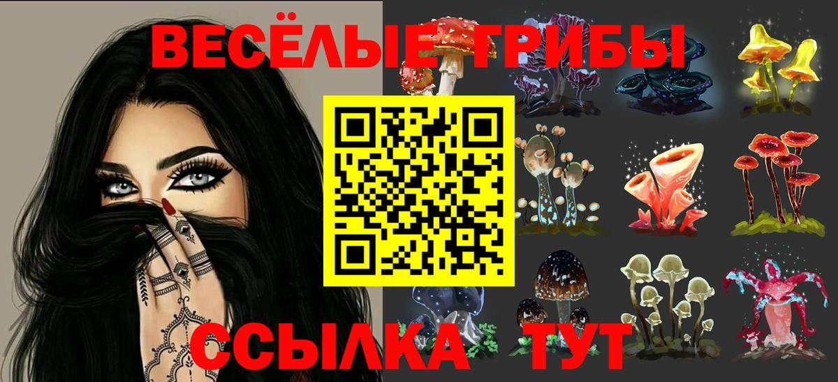 Галлюциногенные грибы MAGIC MUSHROOMS Камышин