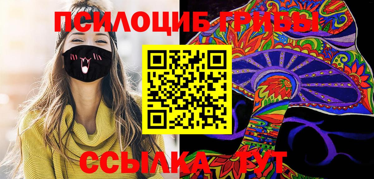 Псилоцибиновые грибы GOLDEN TEACHER  как найти   Вход с VPN  Камышин  Псилоцибиновые грибы Magic Shrooms 